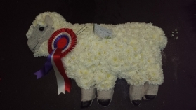 DOLLY THE SHEEP