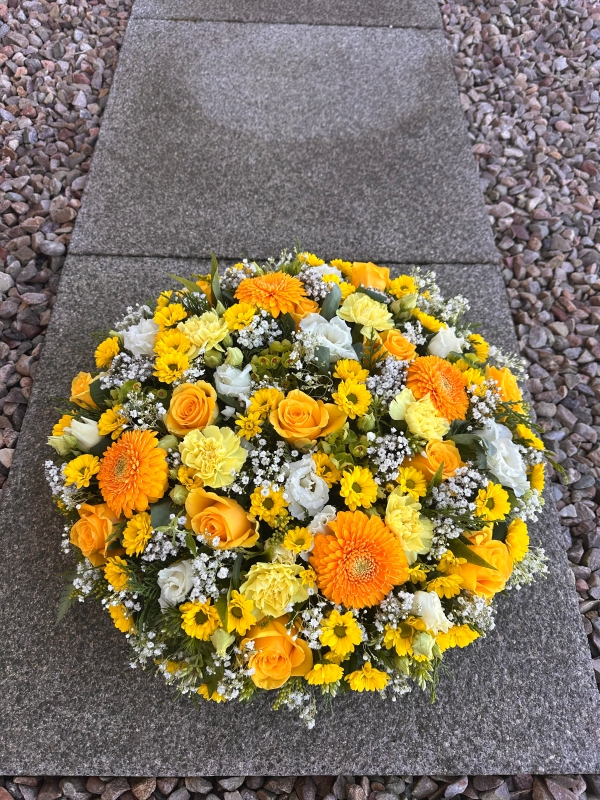Florist Choice Posy