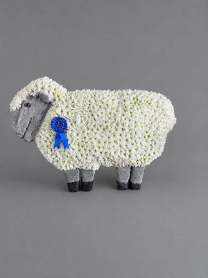 DOLLY THE SHEEP