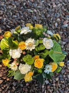 Florist Choice Posy