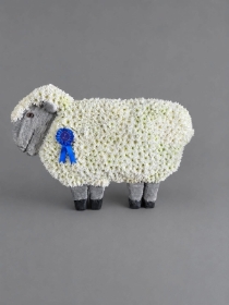 DOLLY THE SHEEP